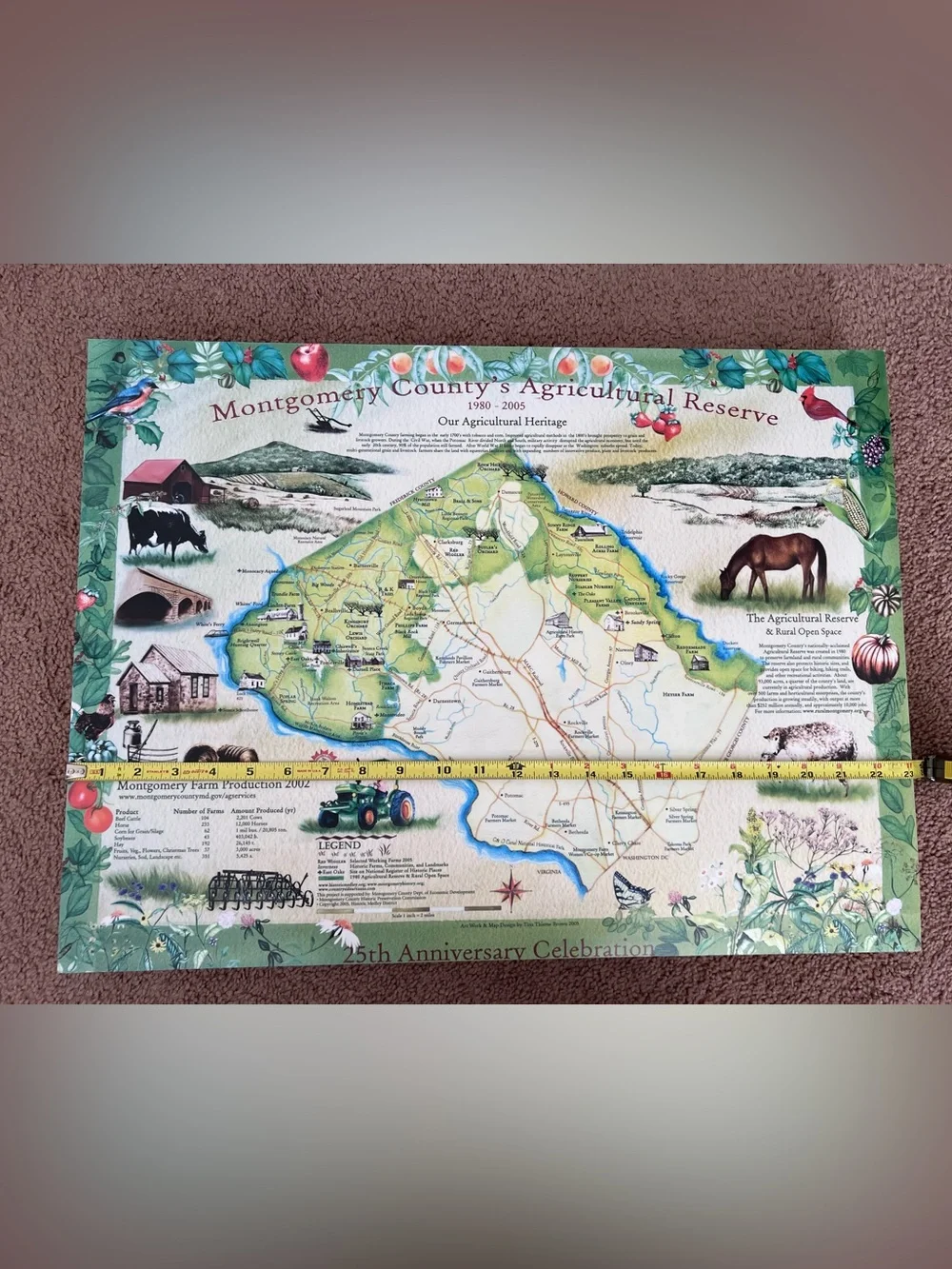 Montgomery County Agricultural Reserve Decorative Map Wall Art - Green